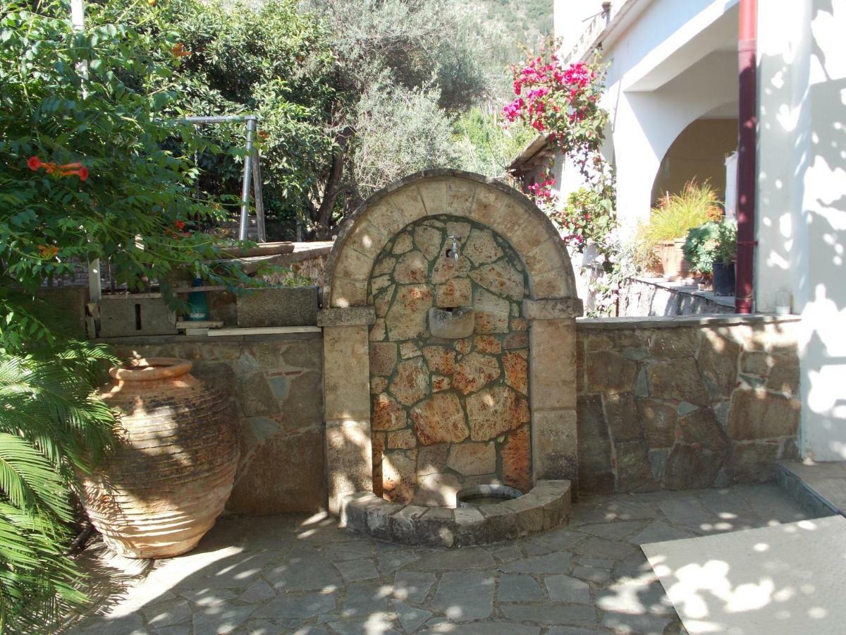 Art Flowers And Culture Mistra Dış mekan fotoğraf