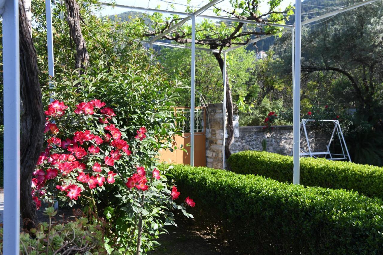 Art Flowers And Culture Mistra Dış mekan fotoğraf